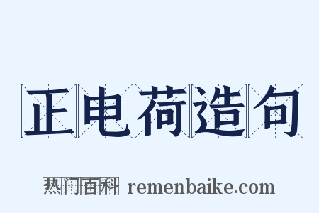 正电荷造句是什么意思的图片